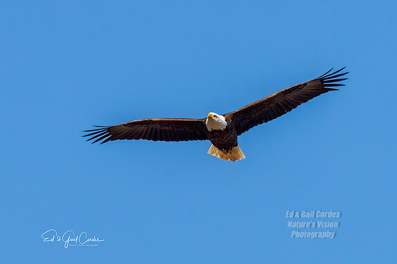 R7 2023-04-03-3334-Edit