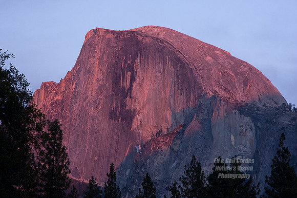 Yosemite Sequoia 2008-3878