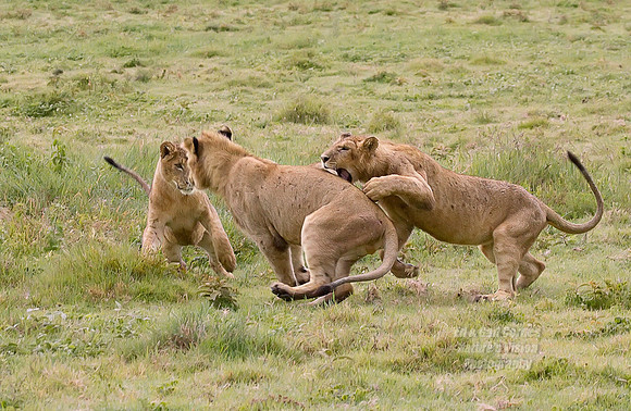7D 2010-03-02-2953AB