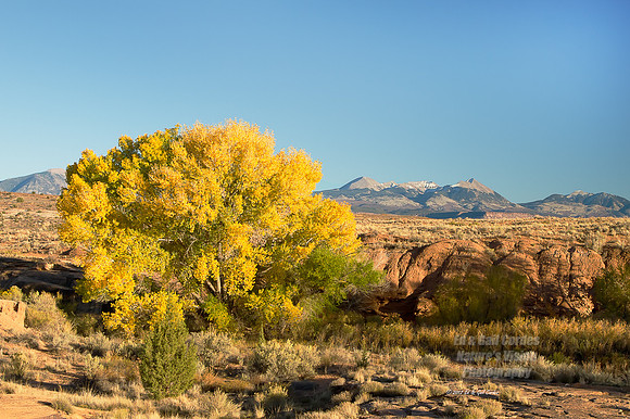 2012 Cottonwood LaSale Mtns 1