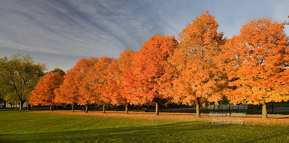 October 2008-7588