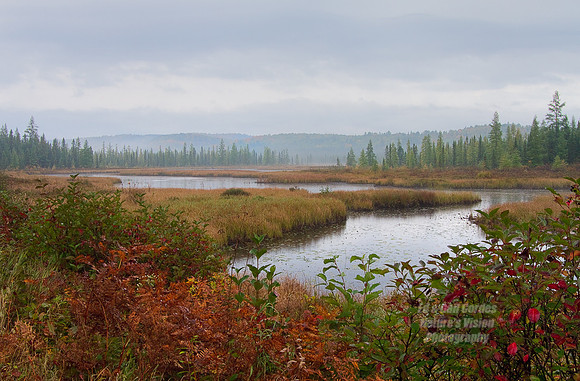 7D 2011-10-02-3561_2_3_4