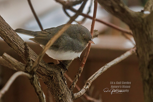 R7 2023-01-01-1232-Edit