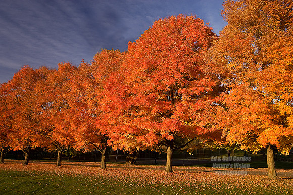 October 2008-7596