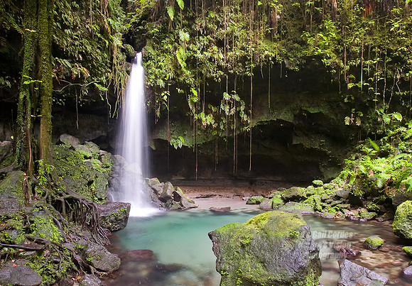Dominica 2007-17