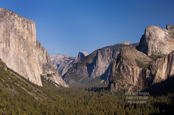 Yosemite Sequoia 2008-3727