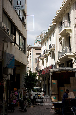 _MG_1356