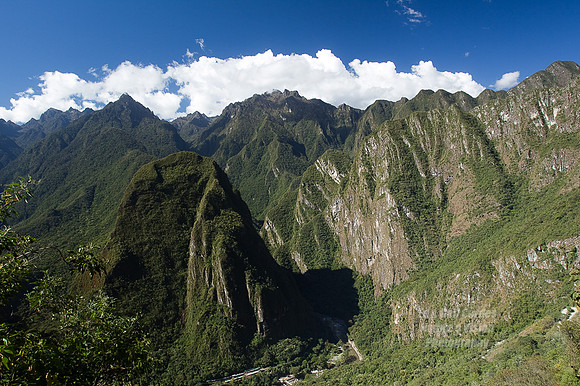 1D4 2011-06-09-7942