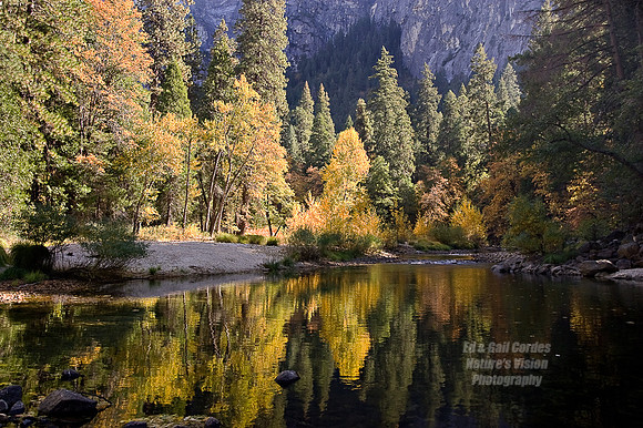 Yosemite Sequoia 2008-7835