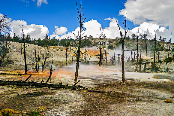 Yellowstone 2005-9366