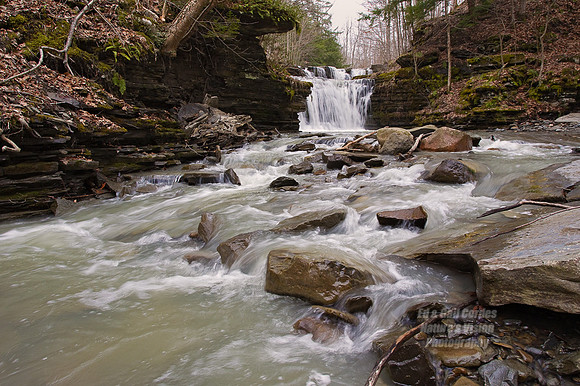 1D4 2011-04-16-7187