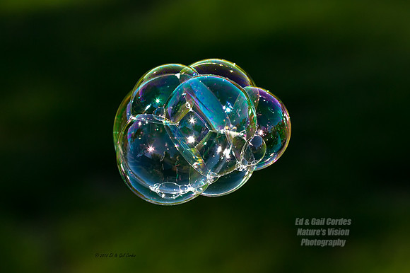 1D4 2015-10-15-5550
