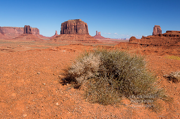 1D4 2012-10-14-2020