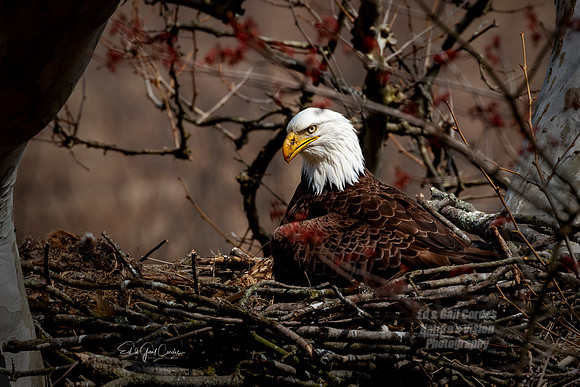 R5 2022-04-13-1810-Edit