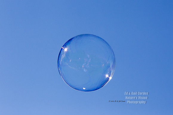 1D4 2015-10-15-5580