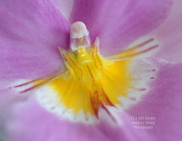 CRW_8446A