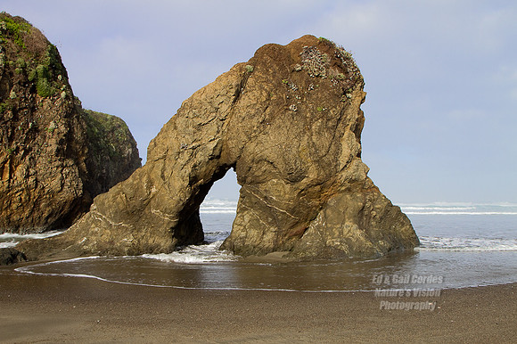 7D 2010-11-11-8429