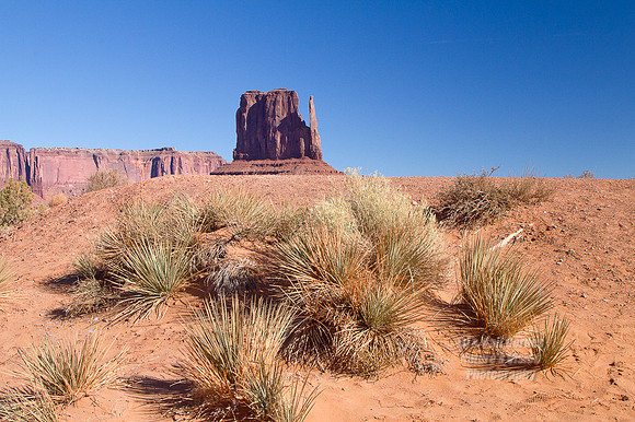 7D 2012-10-14-6741