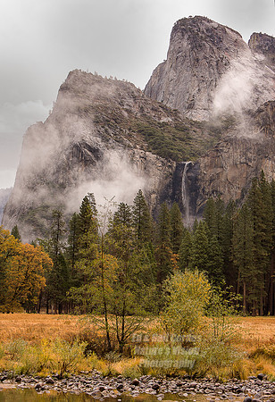 Yosemite Sequoia 2008-4315