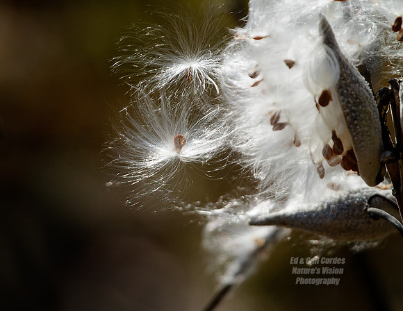 7D 2012-09-29-6538