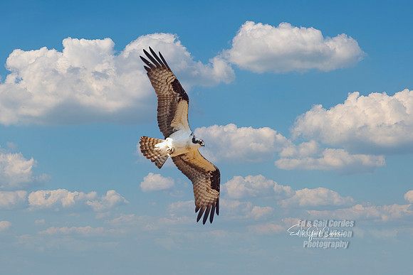 R5 2023-04-03-6416-Edit