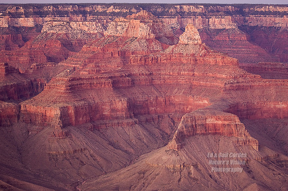 Southwest 2007-4237