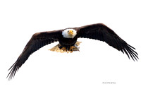 7D 2014-06-16-9068 A