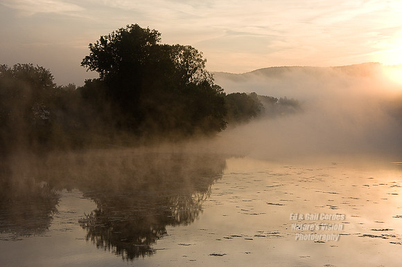 September 2008-3362