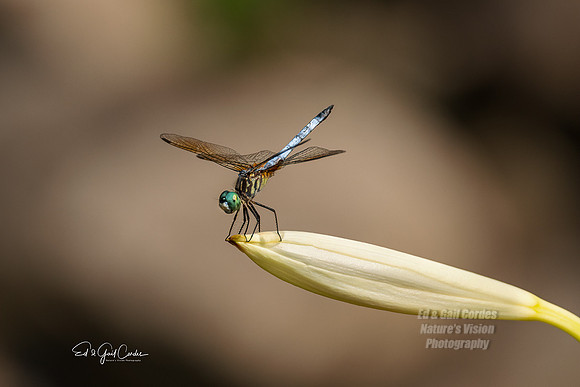 R5 2022-07-12-3563-Edit