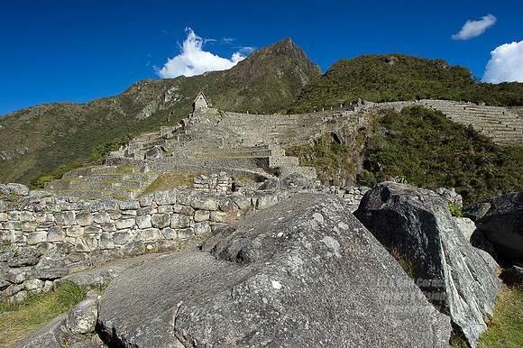 1D4 2011-06-09-7971