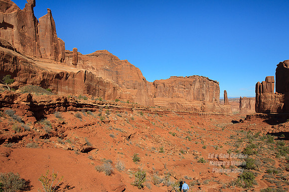 1D4 2012-10-16-2319