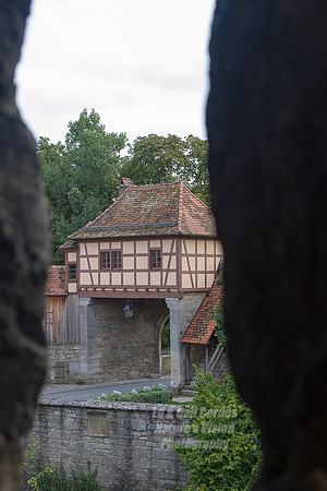 7D 2013-09-23-2947