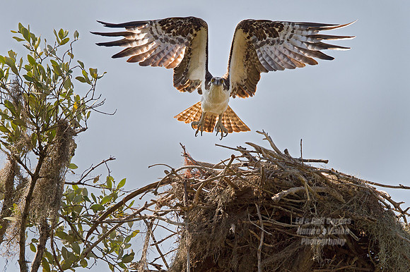 7D 2013-03-08-9286