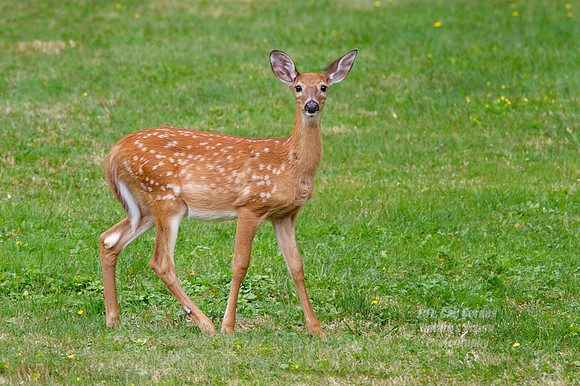 7D 2012-09-03-5812