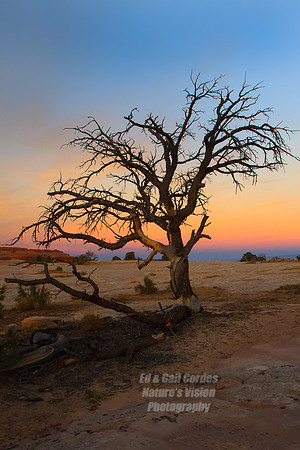 7D 2012-10-19-7572
