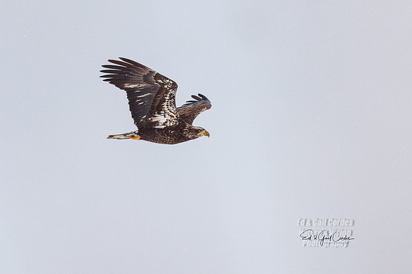 R5 2022-02-27-1200-Edit