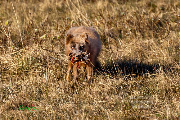 5D4 2022-05-14-3748-Edit