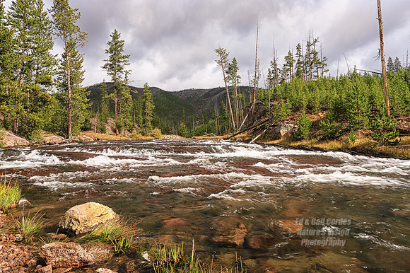 Yellowstone 2006-8658A