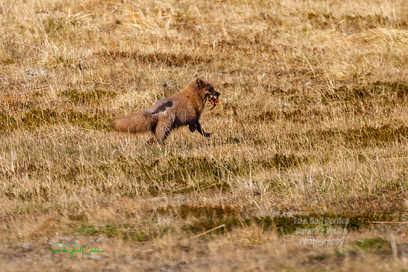 5D4 2022-05-14-3744-Edit