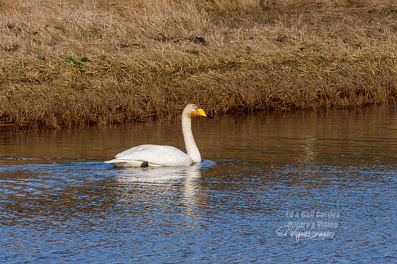 5D4 2022-05-09-3531-Edit