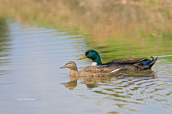 5D4 2017-04-16-0759