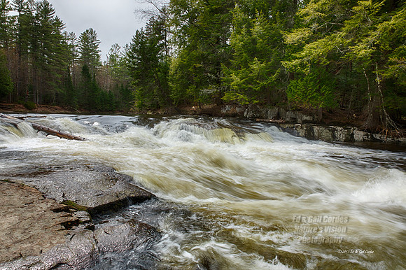 5D4 2017-05-09-1106_HDR