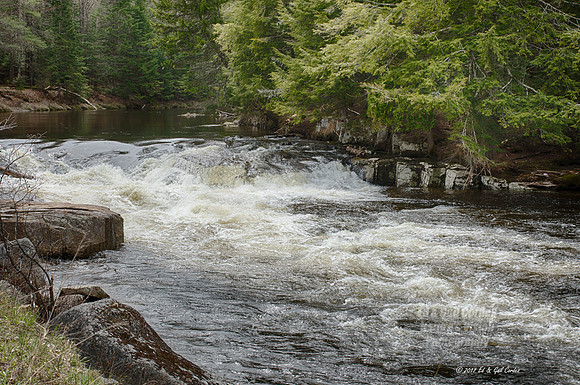 5D4 2017-05-09-1124_HDR
