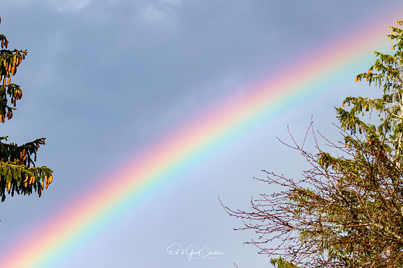 7D2E 2022-03-22-0971-Edit