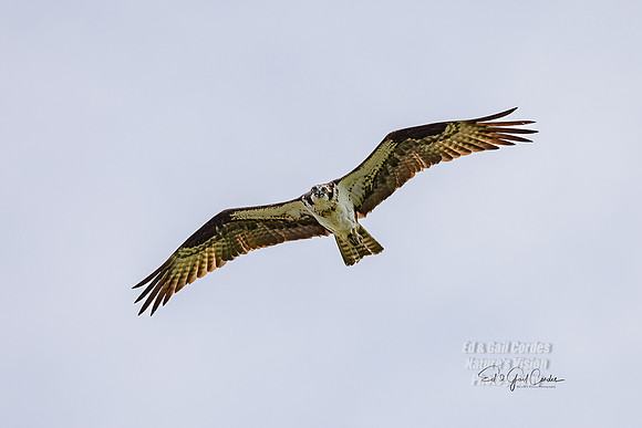 R5 2022-07-27-3735 A-Edit