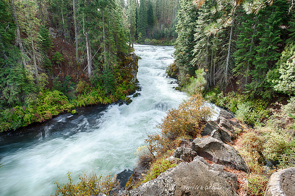 5D4 2017-09-26-2625_HDR-2