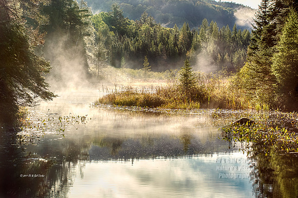 7D2E 2017-10-06-0716_HDR AB
