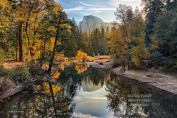 Yosemite Sequoia 2008-7648_HDR-2