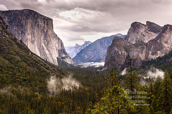 Yosemite Sequoia 2008-8079-2