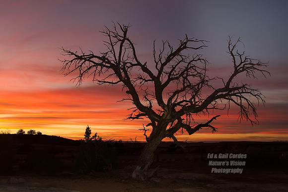 7D 2012-10-19-7597A